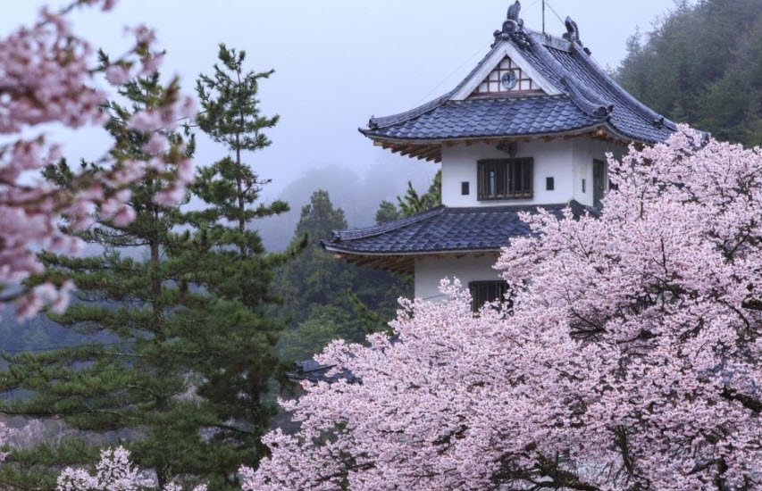 Sakurabora Castle Ruins, Japan